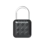 Pin Padlock